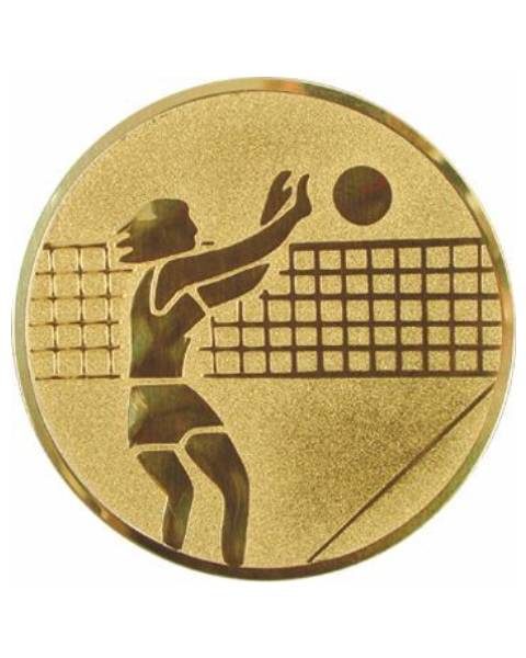 Emblém zlatý - volejbal ženy, 50mm